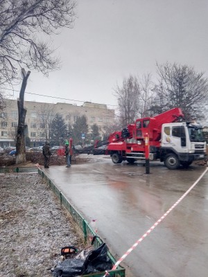 Санитарная обрезка деревьев вдоль улицы Энтузиастов